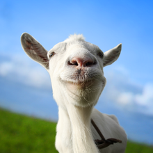 Взлом Goat Simulator на Андроид